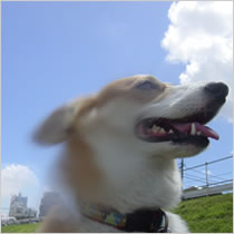 photo/画像