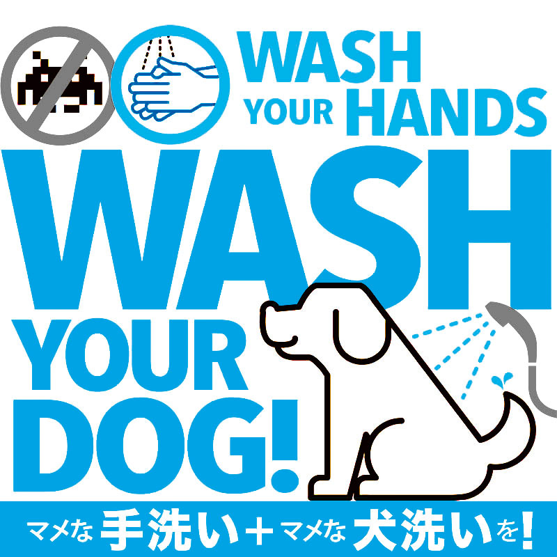 WASH YOUR DOG