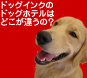 イヌ／いぬ／犬画像